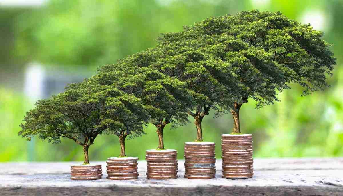 Sustainable Finance