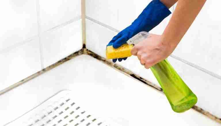 black mould removal methods