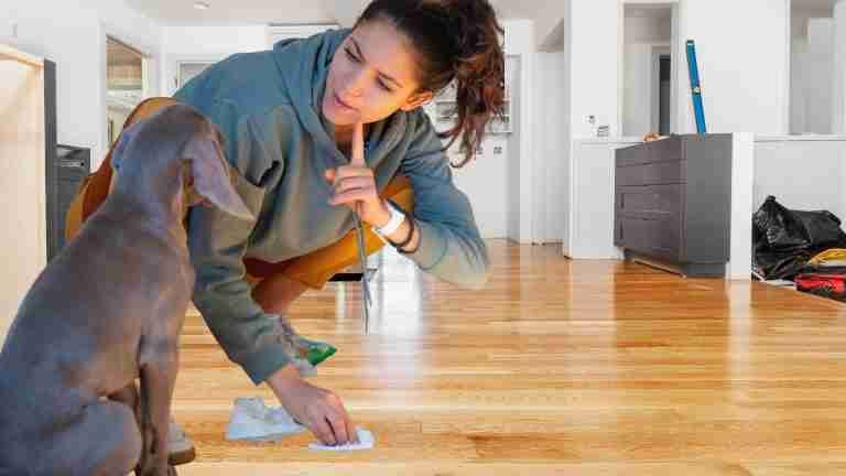 Stop Your Dog Peeing In The House