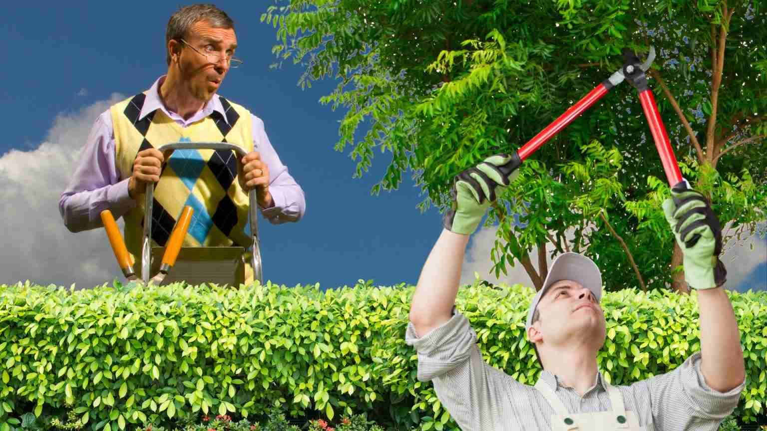 Can My Neighbour Cut My Tree Without Asking