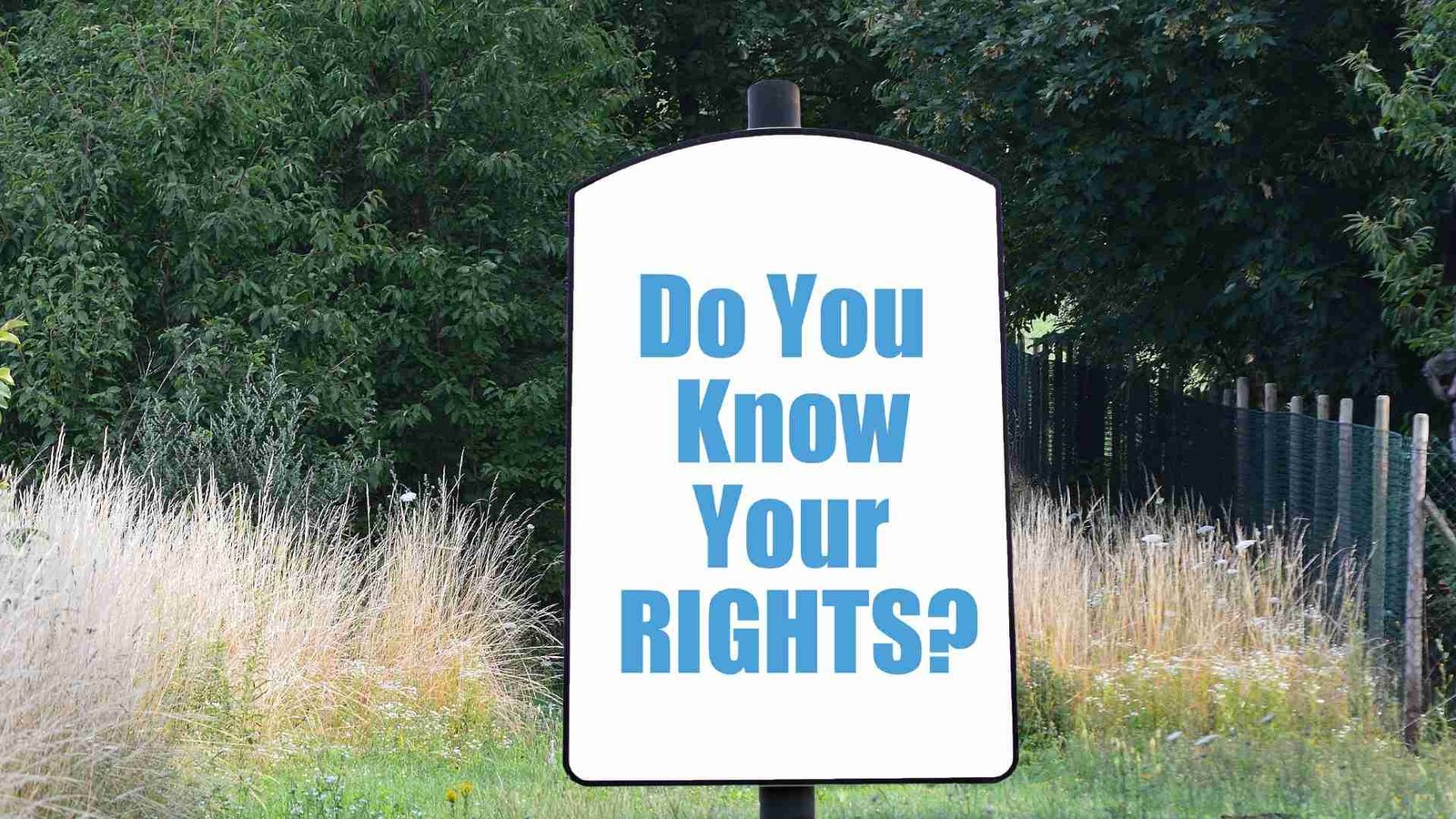 My Rights Tree Can I Cut Back Council Trees Overhanging My Property