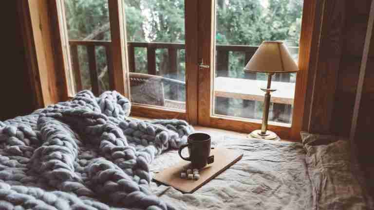 Cozy Cabin For Sale in Scotland