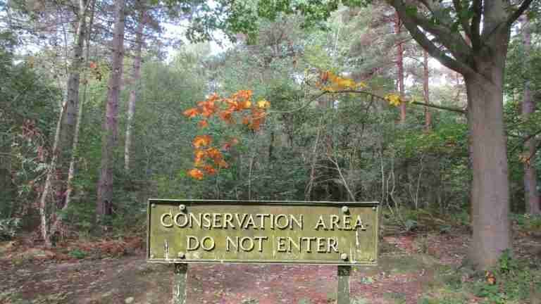 Conservation Area