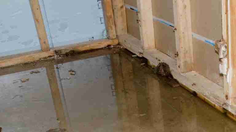 How to Repair Water Damaged Wood