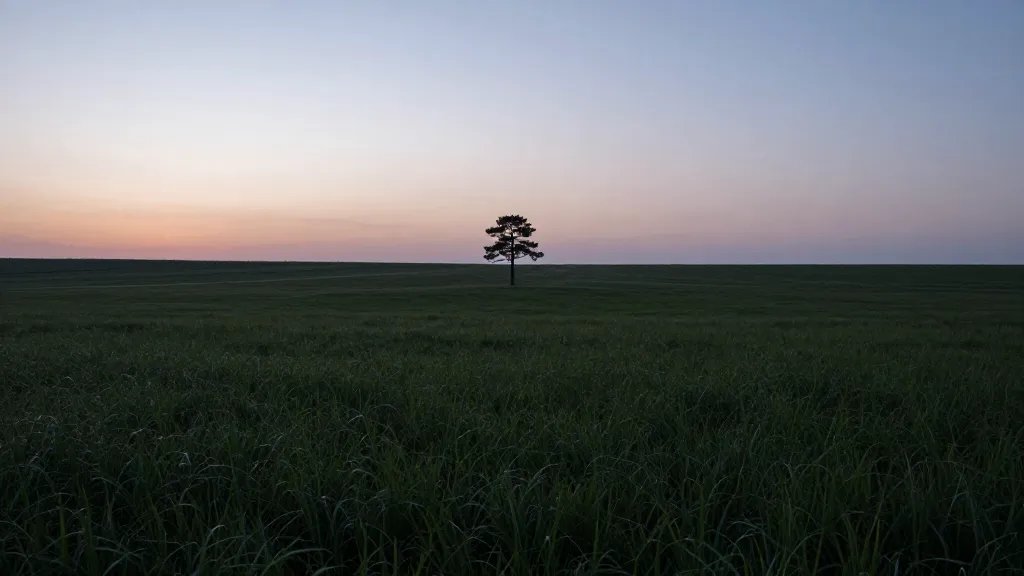 Expansive valley with a single pine silhouette at dusk, minimal horizon line