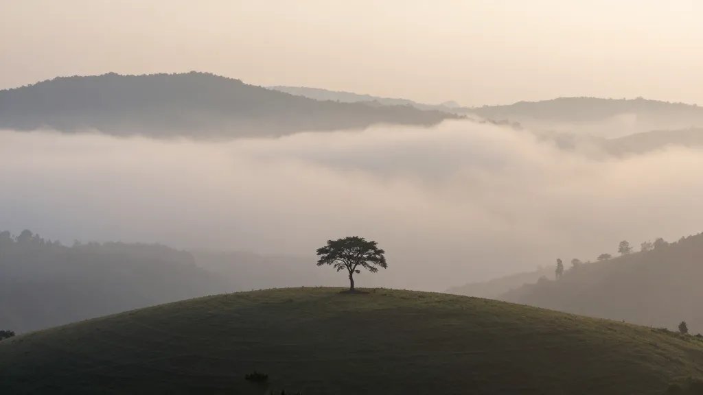 Expansive valley mist at dawn, lone lone-tree on hilltop
