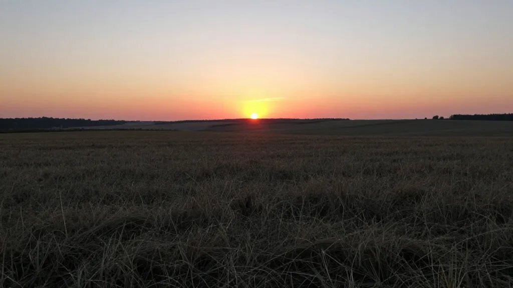 Distant landscape of overgrown vacant field at sunset over countryside