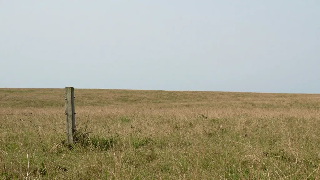 Distant landscape of a lone wooden boundary post in open pasture