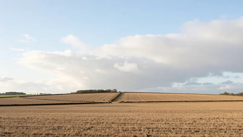 Expansive UK farmland with distant hedgerows and soft clouds