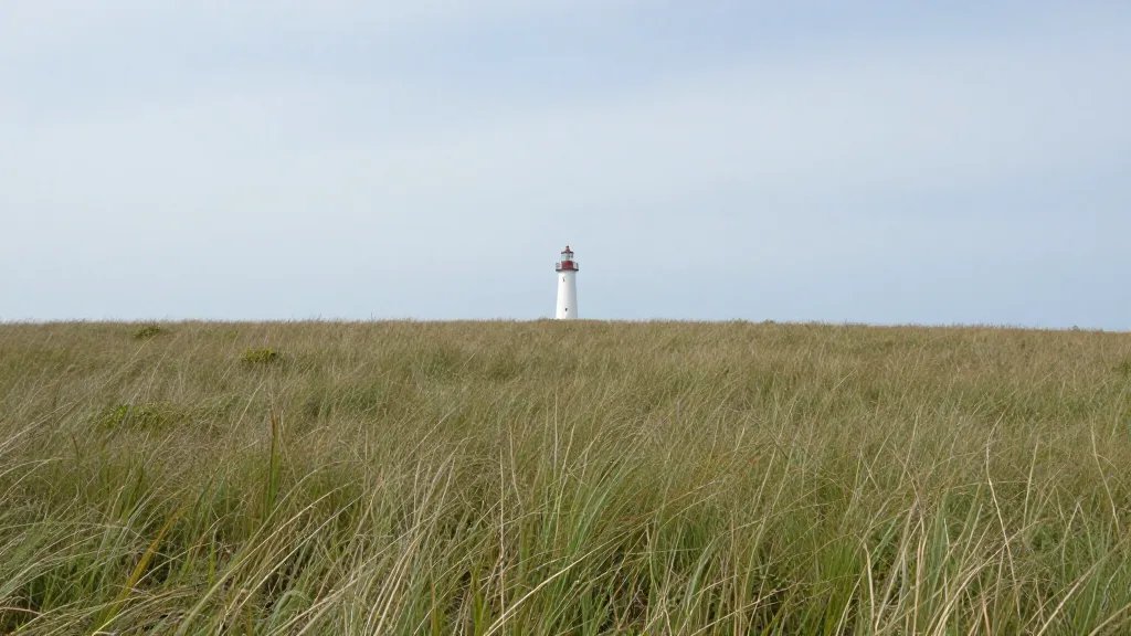 Expansive coastal bluff, solitary lighthouse at horizon, strategic cash flow imagery
