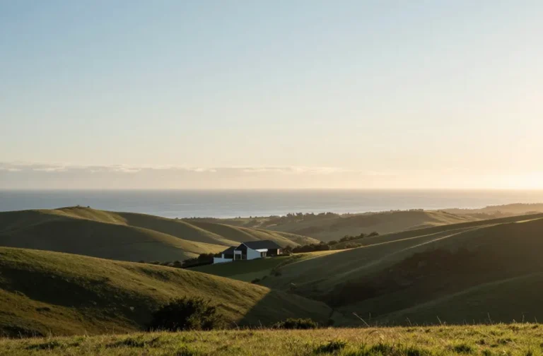 Stamp Duty for Buy-to-Let Investors Explained: a Quick Guide