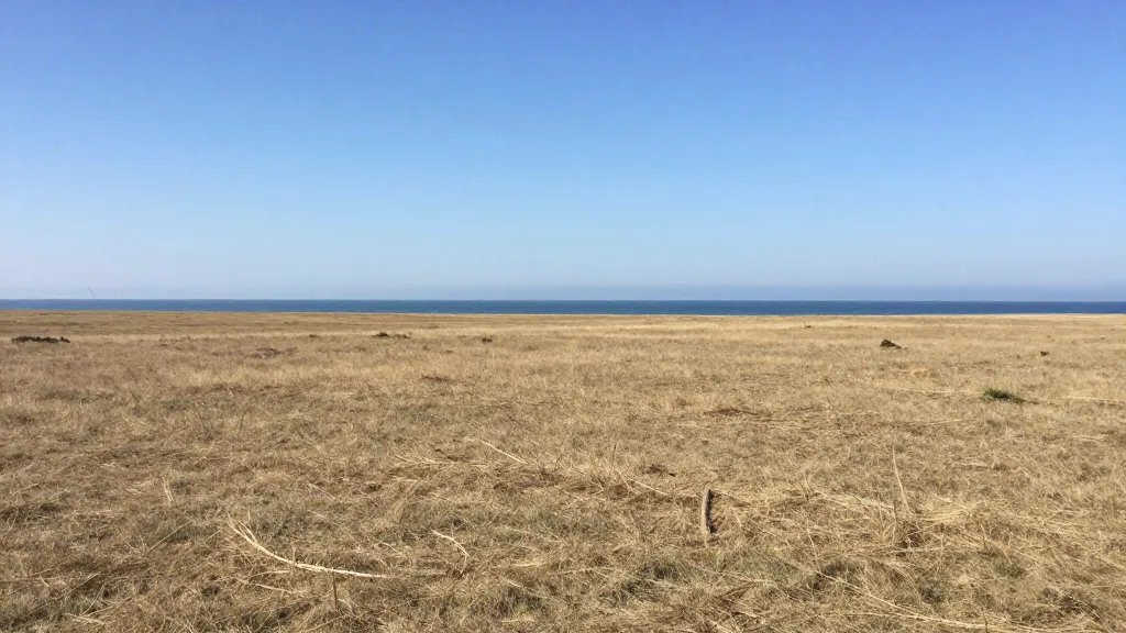 Expansive coastal plain with distant calm ocean under clear blue sky