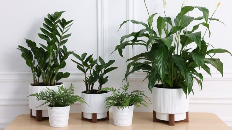 Artificial Potted Plants