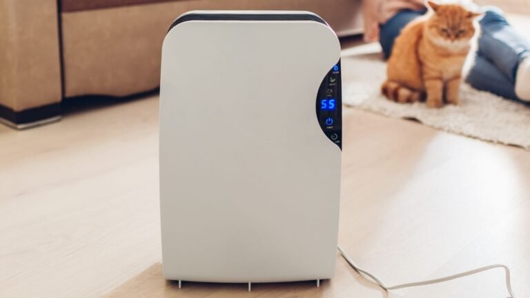 Best Dehumidifiers