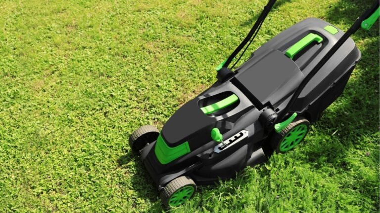 Best Electric Lawn Mowers