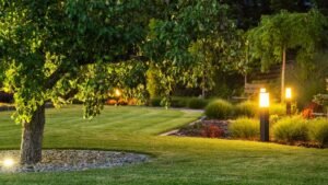 Best Outdoor Lighting for Gardens