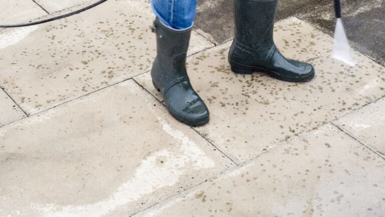 Best Patio Cleaner for black spot