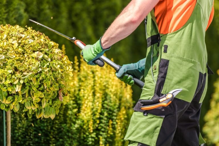 Best Tools for Gardening