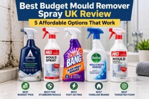 Best Budget Mould Remover Spray UK